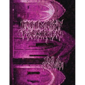 DreamRot {FORSAKEN}