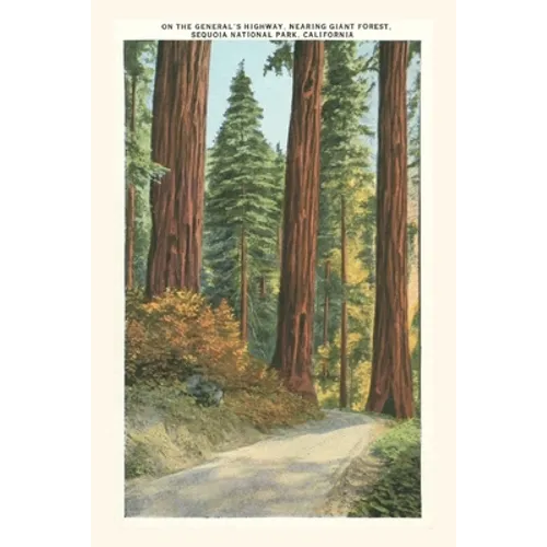 The Vintage Journal Sequoia National Park