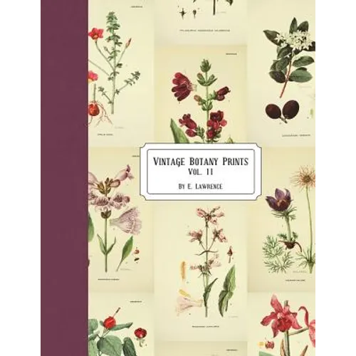 Vintage Botany Prints: Vol. 11