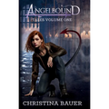 Angelbound Tales Volume One