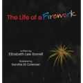 The Life of a Firework