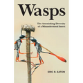 Wasps: The Astonishing Diversity of a Misunderstood Insect