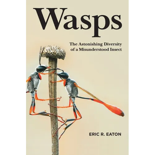 Wasps: The Astonishing Diversity of a Misunderstood Insect