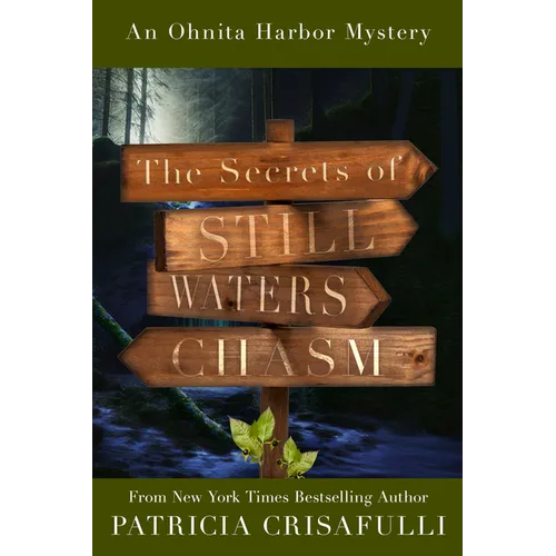 The Secrets of Still Waters Chasm: Book 2 - Ohnita Harbor Mystery Series