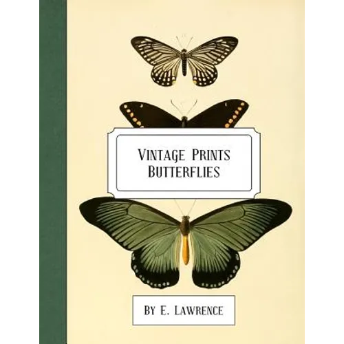 Vintage Prints: Butterflies