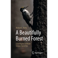 A Beautifully Burned Forest: Learning to Celebrate Severe Forest Fire