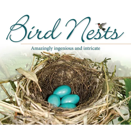 Bird Nests: Amazingly Ingenious and Intricate