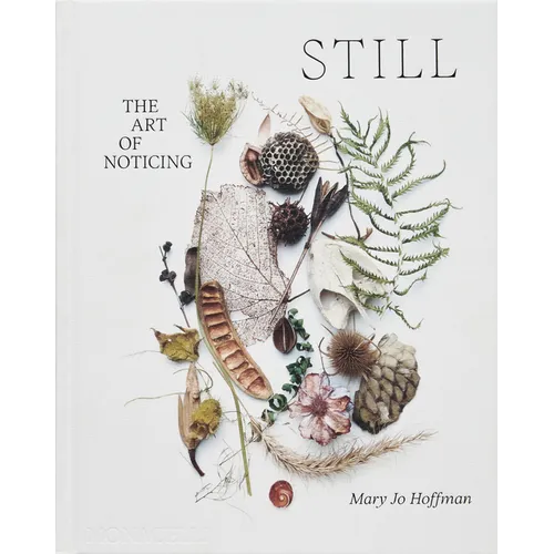 Still: The Art of Noticing