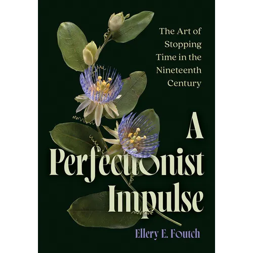 A Perfectionist Impulse: The Art of Stopping Time in the Nineteenth Century