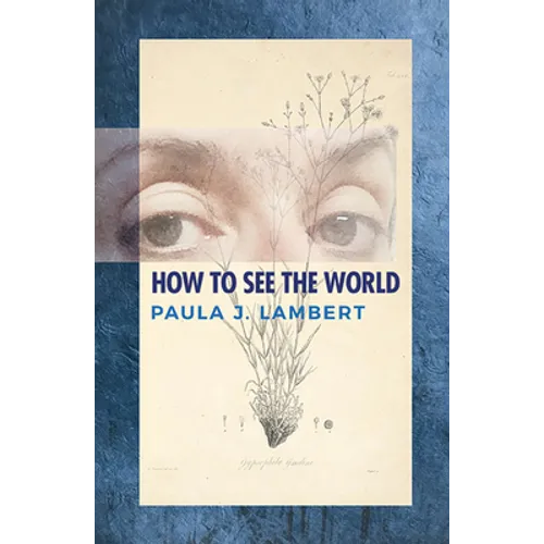 How to See the World: Poems