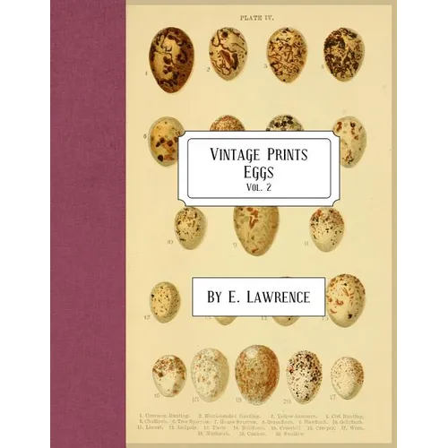 Vintage Prints: Eggs: Vol. 2
