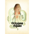 Octopus & Squid: Drawing and Tattoo Reference