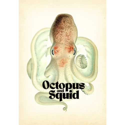 Octopus & Squid: Drawing and Tattoo Reference