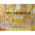 Why The Birch Is White