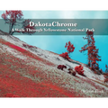 DakotaChrome: A Walk Through Yellowstone National Park