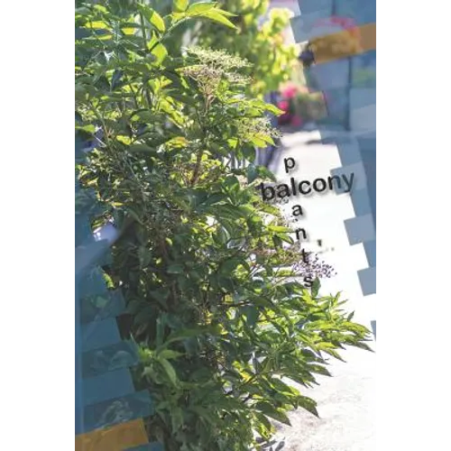 balcony plants