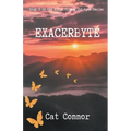 Exacerbyte