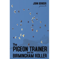 The Pigeon Trainer and the Birmingham Roller