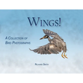 Wings!