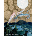 Bruce Storm
