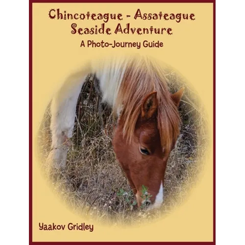 Chincoteague-Assateague Seaside Adventure: A Photo-Journey Guide
