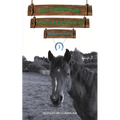 The Horses of Saddlers Ranch: Black Knight