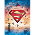 DC: Superman Tiny Book