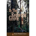In The Redwood Grove