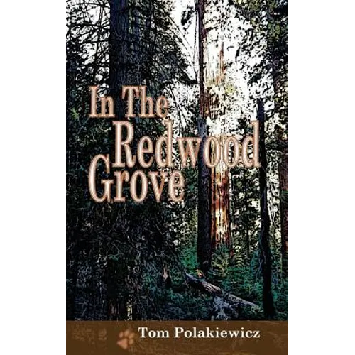 In The Redwood Grove