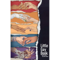 Little Gay Book