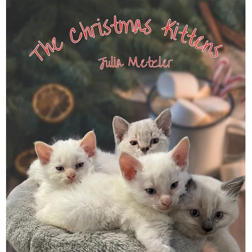 The Christmas Kittens