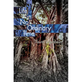 Life in No Ordinary Time