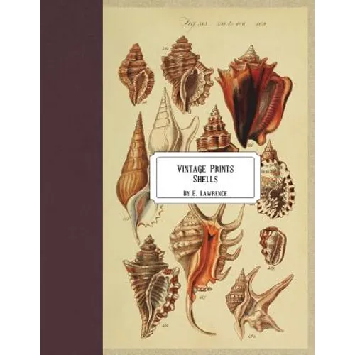 Vintage Prints: Shells