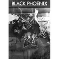 Black Phoenix: Third World Perspectives on Contemporary Art and Culture