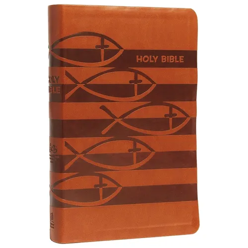 Icb, Holy Bible, Leathersoft, Brown: International Children's Bible