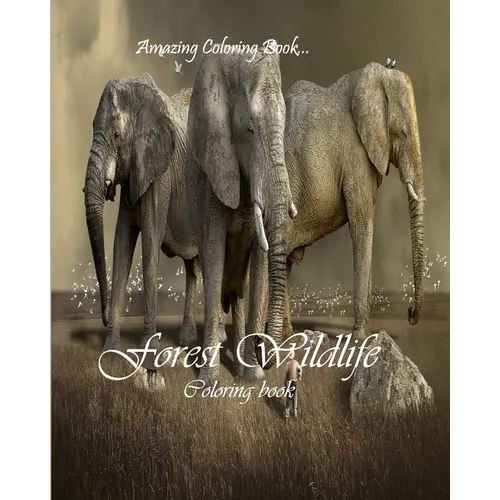 Forest Wildlife: Wildlife Coloring Book