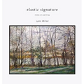 Elastic Signature: Notes on Painting