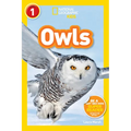 Owls (National Geographic Kids Readers, Level 1)