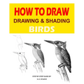 Drawing and shading Birds: How to draw