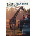 Busch Gardens Tampa Bay