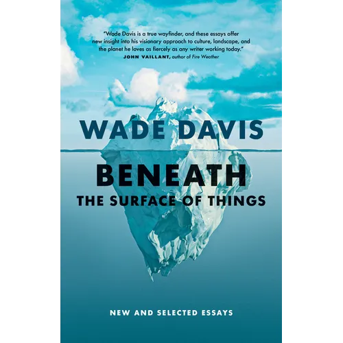 Beneath the Surface of Things: New and Selected Essays