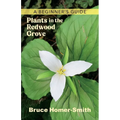 Plants in the Redwood Grove: A Beginner's Guide
