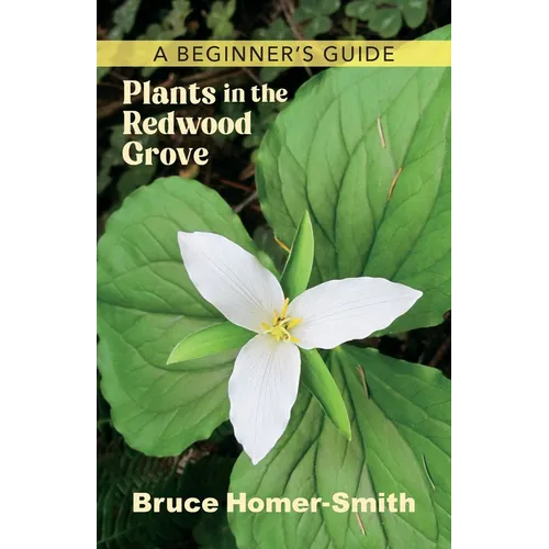 Plants in the Redwood Grove: A Beginner's Guide