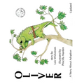 Oliver, A Story About Adoption - Updated