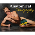 Anatomical Iconography