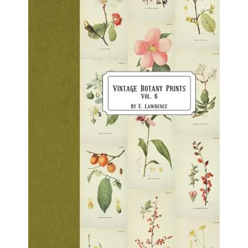 Vintage Botany Prints: Vol. 6