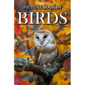 Birds: Picture Books For Adults With Dementia And Alzheimers Patients - Colourful Photos Of Birds With Their Names