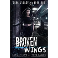 Broken Wings: A Dark High School Romance
