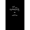 Art and Experience