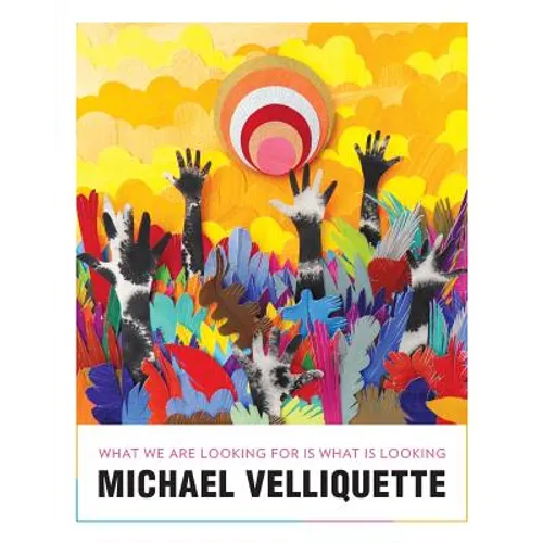 Michael Velliquette: What We Are Looking For is What is Looking